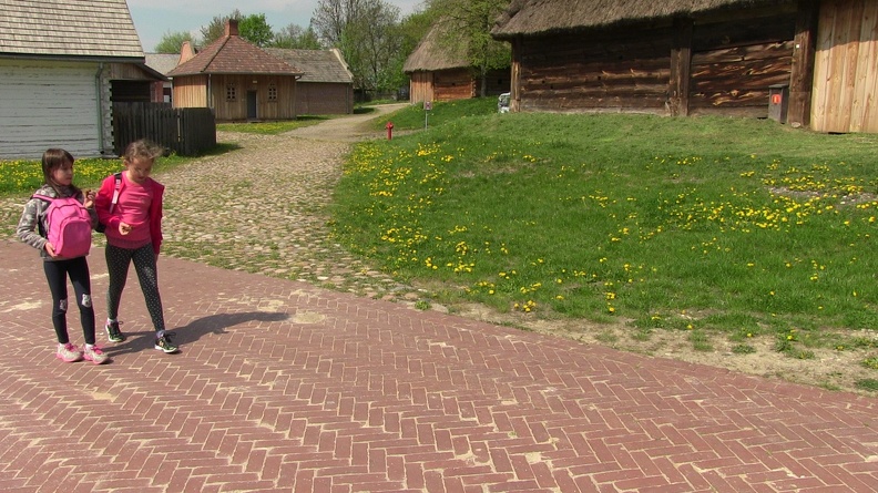 wycieczka-muzeum-wsi-lubelskiej-2018-fot-076.JPG
