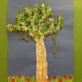Kreatywne drzewa - 6. Julia Palikot