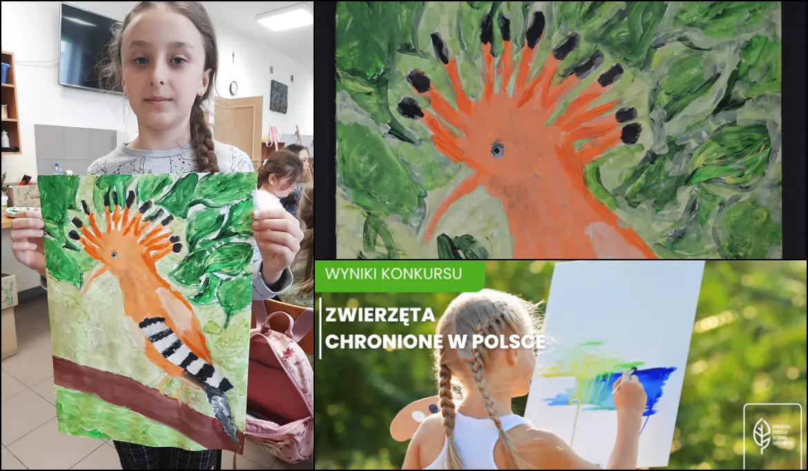 grafika typu collage do artykułu - Emilia Puźniak - I miejsce - Zwierzęta chronione w Polsce